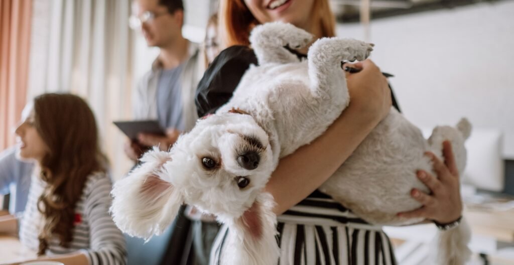 Dog-Friendly Cruise Lines