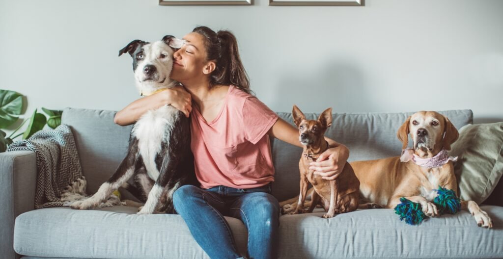 Dog-Friendly Cruises